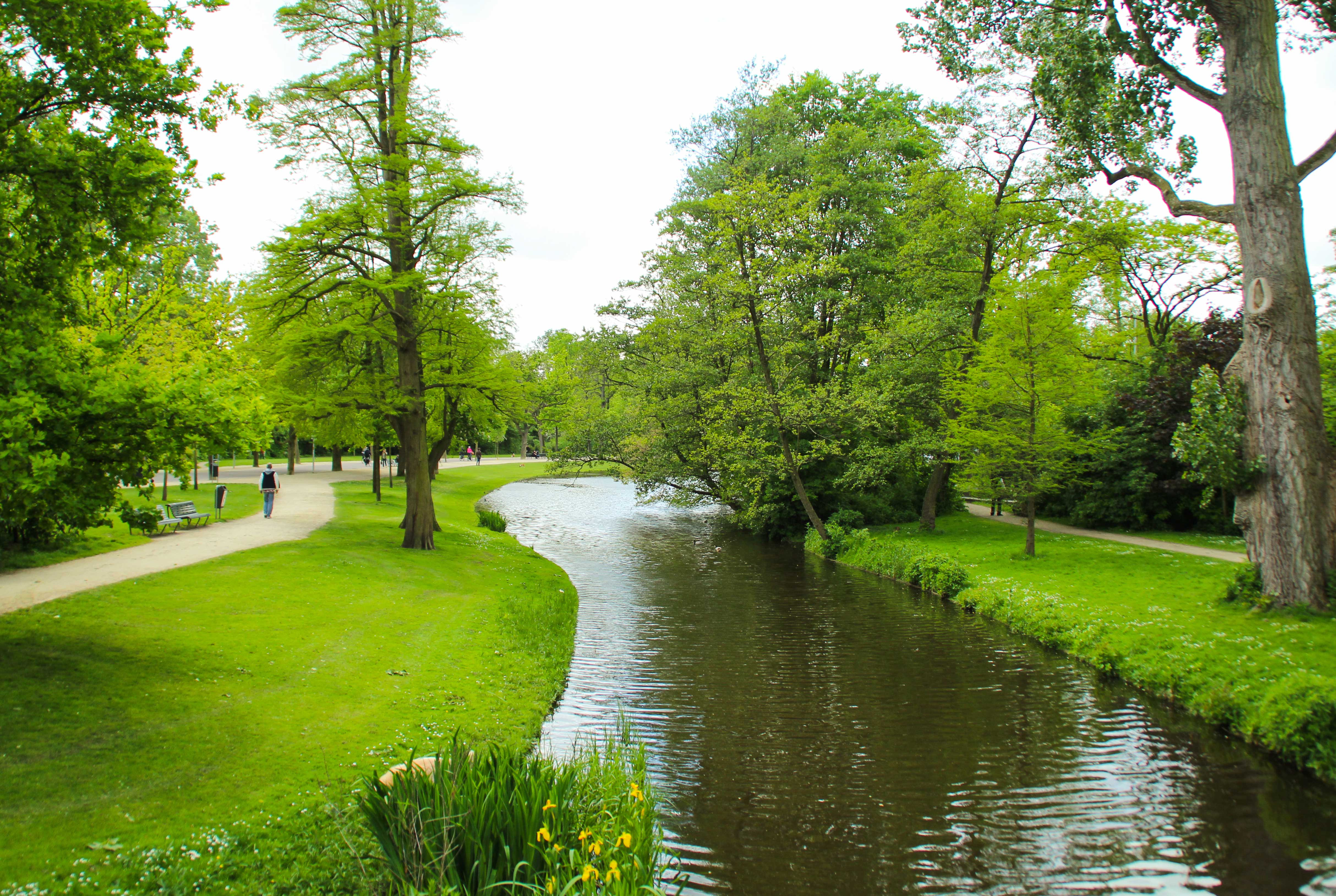 Drijvende Zonnepark Berenplaat van Evides